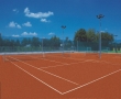 Teren Tenis
